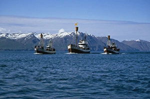 Fleet of North Sailings whale-watching boats in beautiful setting of Skj·lfandi Bay. HusavÃ'k, Iceland Fleet of North Sailings whale-watching boats in beautiful setting of Skj·lfandi Bay. HusavÃ'k, Iceland