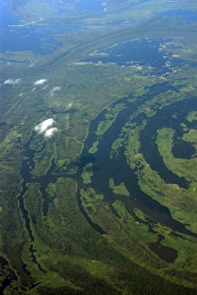 Flooded tropical rain forest, aerial view, Amazonas, Brazil Flooded tropical rain forest, aerial view, Amazonas, Brazil