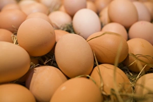 Specialty Food Photography Prints: Free range eggs