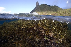 Morro do pico and reef, split level, Fernando de Noronha, Pernambuco, Brazil Morro do pico and reef, split level, Fernando de Noronha, Pernambuco, Brazil