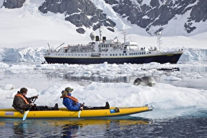 National Geographic photographer Joel Sartore and his wife Kathy kayaking with a leopard seal near Danco Island National Geographic photographer Joel Sartore and his wife Kathy kayaking with a leopard seal near Danco Island
