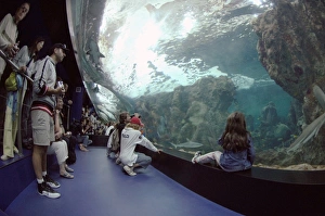 Oceanopolis, Brest, Britanny, France, EU (rr) Oceanopolis, Brest, Britanny, France, EU (rr)