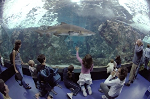 Oceanopolis, Brest, Britanny, France, EU (rr) Oceanopolis, Brest, Britanny, France, EU (rr)