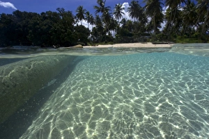 Split image of log, sandy bottom, and island, Truk lagoon, Chuuk, Federated States of Micronesia, Pacific Split image of log, sandy bottom, and island, Truk lagoon, Chuuk, Federated States of Micronesia, Pacific