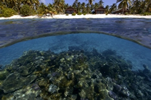 Tropical Ocean Landscape Prints: Split image of pristine coral reef and island, Rongelap, Marshall Islands, Micronesia