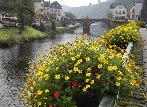 Waterfront Village Scene Prints: Town by the river