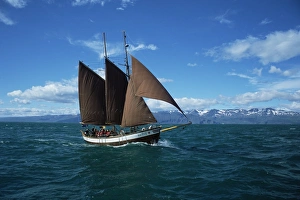 Whale watching vessel, run by North Sailing. Husavik, Iceland Whale watching vessel, run by North Sailing. Husavik, Iceland