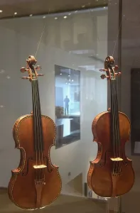 Ashmolean Museum Print: Stradivari and Lupot Violins