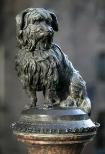 Greyfriars Bobby Print, Old Town Edinburgh Architecture