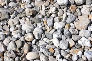 Pebbles On Beach Prints: Pebbles on the beach