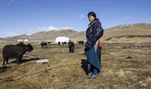 China, Tibet, Young woman from a Tibetan nomad family on a highland pasture near family China, Tibet, Young woman from a Tibetan nomad family on a highland pasture near family