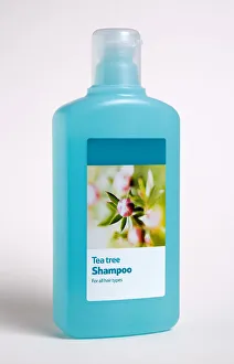 Clean Cleanliness Cleaning Wash Washing Haircare Hairdressing Cutout Cut Out Clean Cleanliness Cleaning Wash Washing Haircare Hairdressing Cutout Cut Out