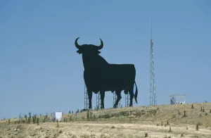 Andalusia Bull Silhouette Print