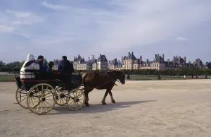 Fontainebleau Tourist Cart Print