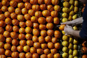 Food And Drink Prints: A worker adds final details to a lemon and orange pattern print