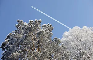 An aircraft flies above Siberia outside the city of Krasnoyarsk An aircraft flies above Siberia outside the city of Krasnoyarsk