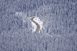 Automobiles makes their way along a mountain road during winter in Lake Louise Automobiles makes their way along a mountain road during winter in Lake Louise