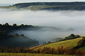 Autumn mists hang over villages and the countryside in the South Downs National Park Autumn mists hang over villages and the countryside in the South Downs National Park