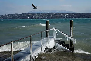 A bird flies over a frozen pier during a windy winter day near Lake Leman in Geneva A bird flies over a frozen pier during a windy winter day near Lake Leman in Geneva