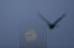 A bird flies past the Big Ben clock tower on a foggy morning in central London A bird flies past the Big Ben clock tower on a foggy morning in central London