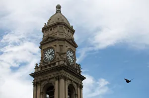 A bird flies past the broken clock on the Old Town Hall in Durban A bird flies past the broken clock on the Old Town Hall in Durban
