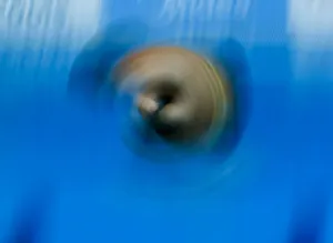 Blaha of Austria performs a jump during the mens 3m springboard semi-final at the Blaha of Austria performs a jump during the mens 3m springboard semi-final at the