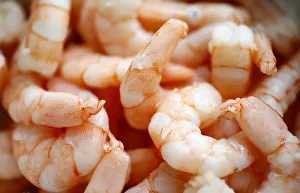 A bowl with cooked shrimp is seen in a kitchen in Frankfurt A bowl with cooked shrimp is seen in a kitchen in Frankfurt