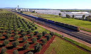 Carriages of a train are loaded with grain at a storage site on the outskirts of the Carriages of a train are loaded with grain at a storage site on the outskirts of the
