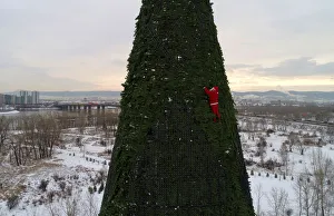 A climber dressed as Santa Claus decorates a Christmas tree in Krasnoyarsk A climber dressed as Santa Claus decorates a Christmas tree in Krasnoyarsk