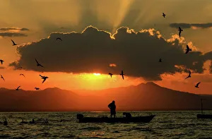 Costa Rica fishermen return with their catch as seagulls fly around their boat during Costa Rica fishermen return with their catch as seagulls fly around their boat during