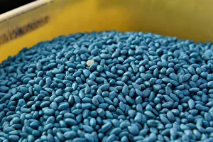 Cotton seeds that have been coated with a seed treatment wait to be planted near Wakita Cotton seeds that have been coated with a seed treatment wait to be planted near Wakita