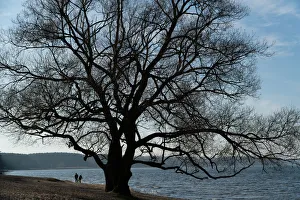 Couple enjoy a sunny autumn day at a lake on the outskirts of Minsk Couple enjoy a sunny autumn day at a lake on the outskirts of Minsk