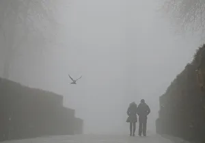 A couple walks in a park on a foggy winter day in central Kiev A couple walks in a park on a foggy winter day in central Kiev