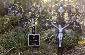 Crosses are pictured at the Friedhof der Namenlosen in Vienna Crosses are pictured at the Friedhof der Namenlosen in Vienna