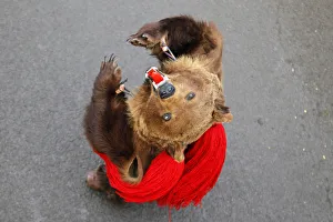 A dancer from Romanias northeastern region of Moldova performs the bear dance A dancer from Romanias northeastern region of Moldova performs the bear dance