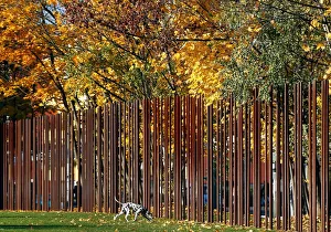 A dog strolls beside metal rods that delineate the line along which the Berlin Wall used A dog strolls beside metal rods that delineate the line along which the Berlin Wall used