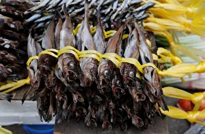 Dried fish are displayed for sale at a local market in Gangneung Dried fish are displayed for sale at a local market in Gangneung
