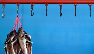 Dried fish hang at a local market in Gangneung Dried fish hang at a local market in Gangneung