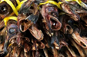 Dried fish are seen at a local market in Gangneung Dried fish are seen at a local market in Gangneung