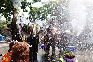 Elephants and people play with water during the celebration of Songkran Water Festival Elephants and people play with water during the celebration of Songkran Water Festival