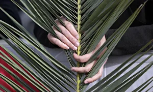 A faithful holds a palm frond as he waits for Pope Francis at the Palm Sunday mass A faithful holds a palm frond as he waits for Pope Francis at the Palm Sunday mass