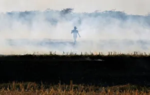 A farmer burns paddy waste stubble in a field on the outskirts of Ahmedabad A farmer burns paddy waste stubble in a field on the outskirts of Ahmedabad