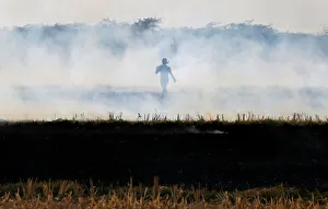 A farmer burns paddy waste stubble in a field on the outskirts of Ahmedabad A farmer burns paddy waste stubble in a field on the outskirts of Ahmedabad