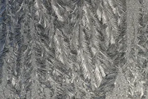 Frost pattern on a window following a cold night in Germany Frost pattern on a window following a cold night in Germany