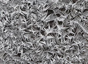 Frost is seen on a window during a freezing day in Smila Frost is seen on a window during a freezing day in Smila