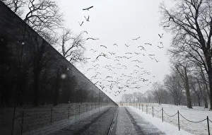 Geese fly past the Vietnam Veterans Memorial during a snow storm in Washington Geese fly past the Vietnam Veterans Memorial during a snow storm in Washington