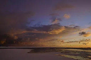 A general view of Waddensea near the island of Schiermonnikoog A general view of Waddensea near the island of Schiermonnikoog