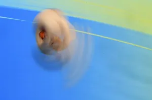 Germanys Freitag competes in preliminary round of womens 1m springboard diving event at Germanys Freitag competes in preliminary round of womens 1m springboard diving event at