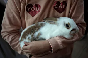 A girl holds a rabbit after being blessed by a priest outside San Anton Church in the A girl holds a rabbit after being blessed by a priest outside San Anton Church in the