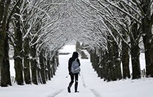 A girl walks along a road under snow-covered trees in Moulin A girl walks along a road under snow-covered trees in Moulin